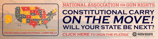 Click here to sign your Constitutional Carry pledge!