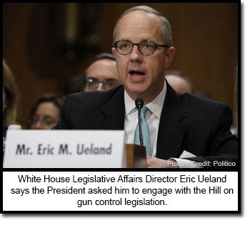 Ueland on gun control