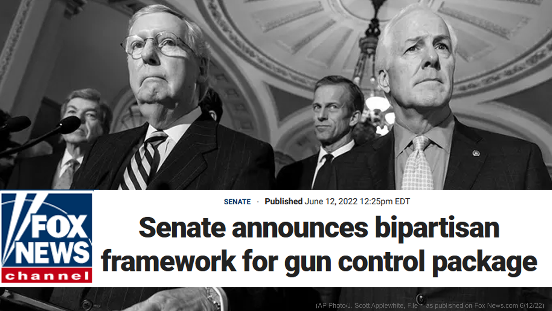 National Association for Gun Rights